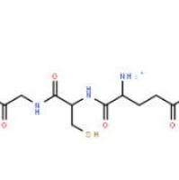 L-还原型谷胱甘肽70-18-8