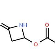 4-乙酰氧基-2-氮杂环丁酮28562-53-0