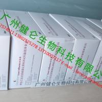 甲乙型流感抗原检测试剂盒（英国立明）