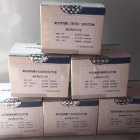 犬睾酮(T)Elisa试剂盒