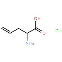D-2-烯丙基甘氨酸盐酸盐108412-04-0