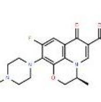 左氧氟沙星100986-85-4