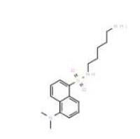 丹酰尸胺10121-91-2