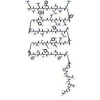 重组人表皮生长因子62253-63-8