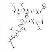 重组人溶菌酶9001-63-2