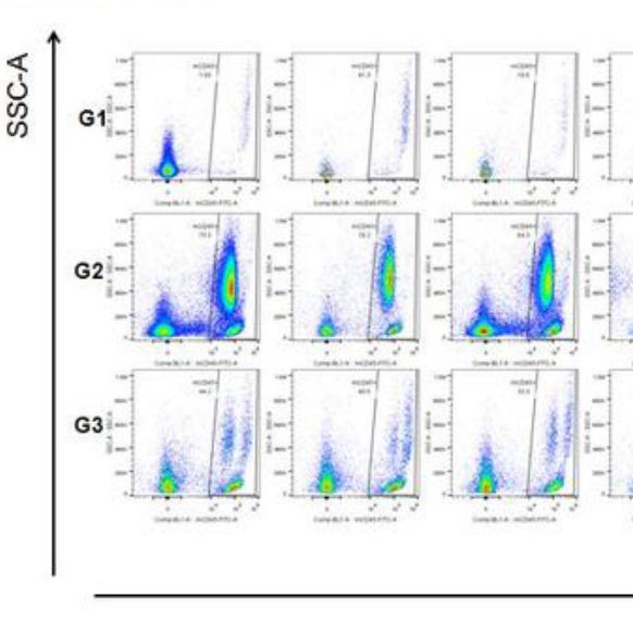 哮喘模型构建服务