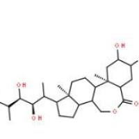 表油菜素内酯78821-43-9