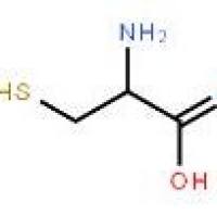DL-半胱氨酸3374-22-9