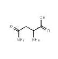L-天门冬酰胺70-47-3