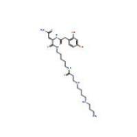 乳铁蛋白112163-33-4
