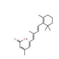 维生素A酸302-79-4