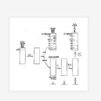 WB蛋白免疫印迹技术