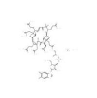 维生素 B1268-19-9