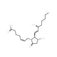 前列腺素E2363-24-6