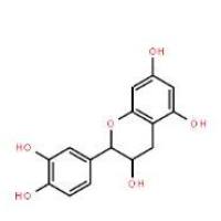 儿茶素7295-85-4