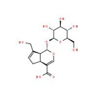 京尼平苷酸27741-01-1