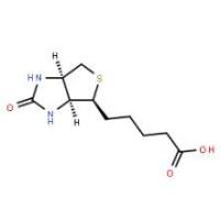 生物素58-85-5
