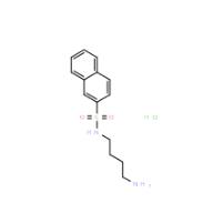 N-(4-氨基丁基)-2-萘磺酰胺盐酸盐