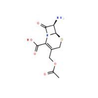 7-氨基头孢烷酸957-68-6