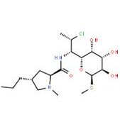 盐酸克林霉素21462-39-5
