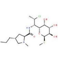 盐酸克林霉素21462-39-5