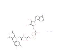 黄素腺嘌呤二核苷酸 二钠盐 水合物84366-81-4
