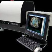 动物Micro-CT检测