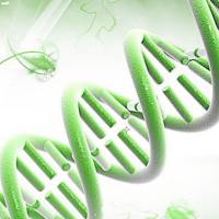 Luminex芯片技术服务