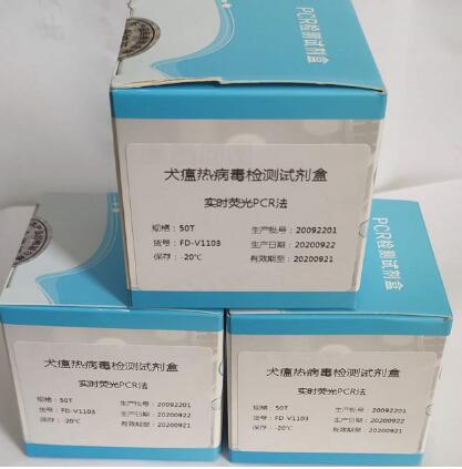 Entamoeba spp. 内阿米巴通用PCR试剂盒13-82100 