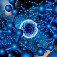 生物信息学技术服务