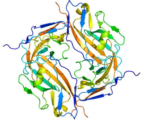 2D-DIGE实验技术服务