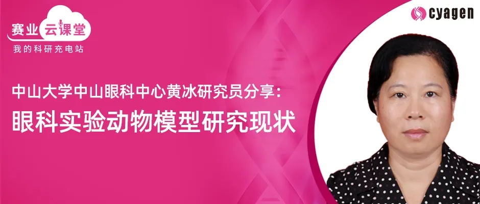 眼科实验动物模型研究现状
