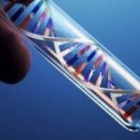 外显子测序服务