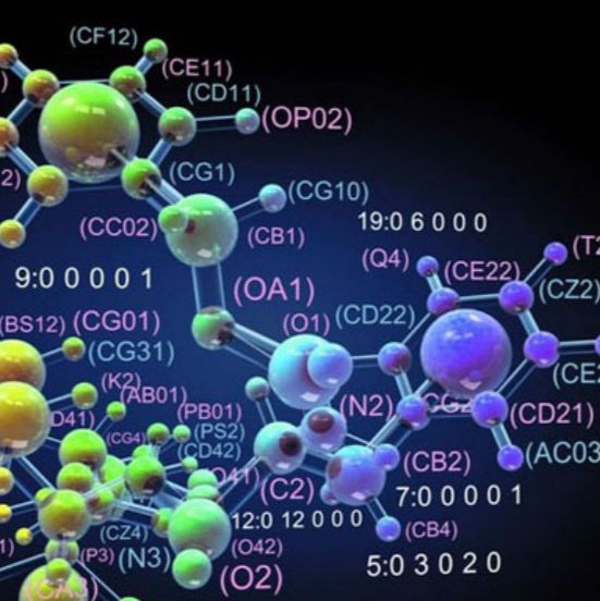 转录组测序技术服务