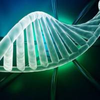 定点突变实验技术服务