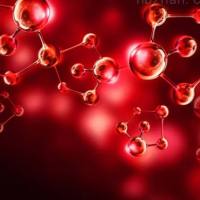 LncRNA芯片技术服务