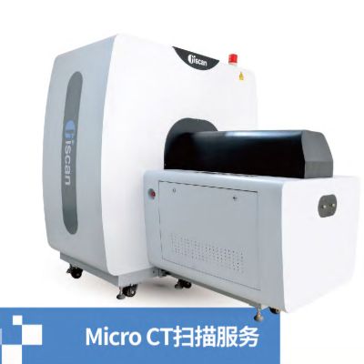  Micro CT 掃描服務