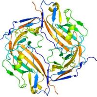 Label free实验技术服务