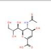 N-乙酰-2,3-二脱氢-2-脱氧神经氨酸24967-27-9