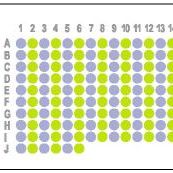 [肝癌，150点]HLiv-HCC150PG-01
