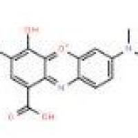 没食子蓝1562-85-2