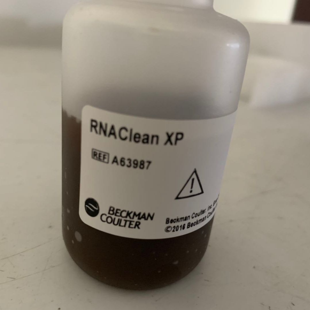   A63987   RNAClean XP  RNA纯化磁珠