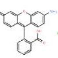 氯化罗丹明 11013558-31-1