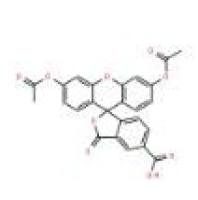 5- 羧基荧光素二乙酸酯79955-27-4