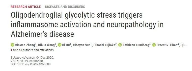 阿尔茨海默症新靶点通路——Drp1-HK1-NLRP3