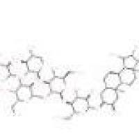 毛地黄皂苷11024-24-1