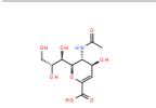 N-乙酰-2,3-二脱氢-2-脱氧神经氨酸24967-27-