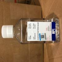 02162496 MP 磷酸盐缓冲液（PBS）