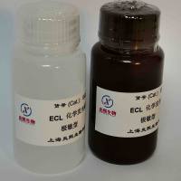 极敏型 ECL化学发光底物试剂盒（极敏ECL发光液）