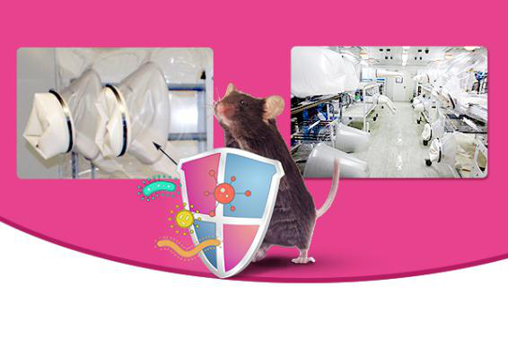 深耕模式动物服务15年，赛业生物为您的研究保驾护航